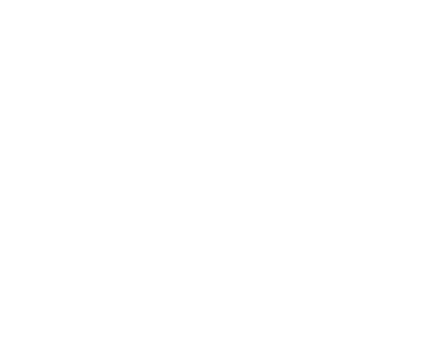 Chromecast logo — supported by the IBO Player app