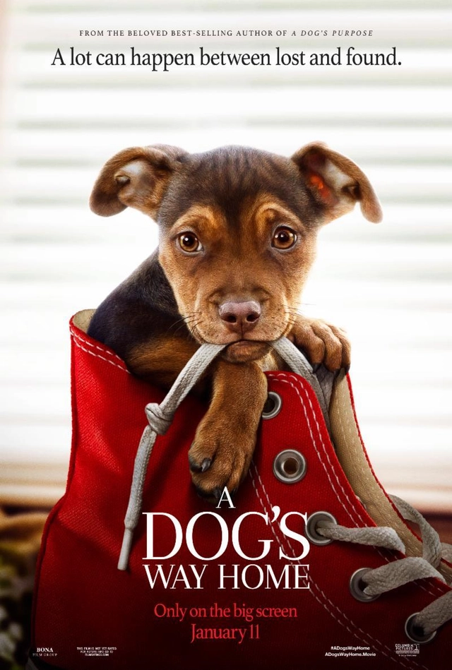 A Dog's Way Home — poster artwork available on demand with TVRegal